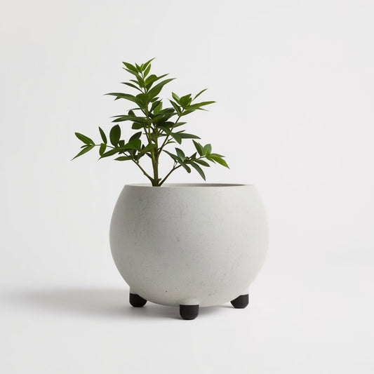 Concrete Minimalist Planter, 5 Inch Round Light Gray Plant Pot with Drainage Hole