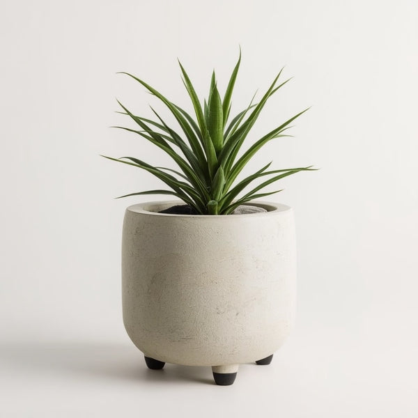 Concrete Minimalist Planter, 5 Inch Round Light Gray Plant Pot with Drainage Hole