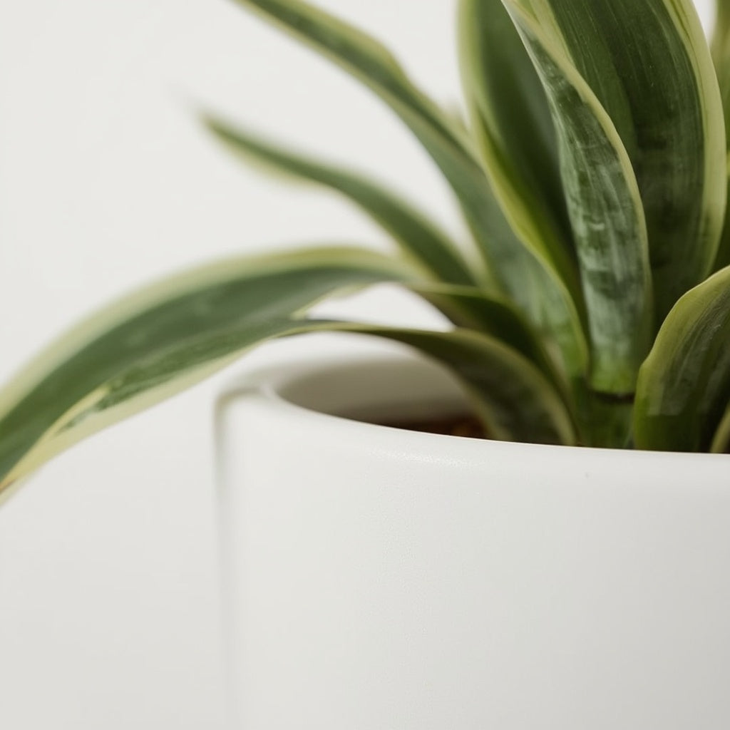 Matte White Stoneware Planter with Bamboo Tray, 6 Inch Ceramic Plant Pot with Drainage Hole