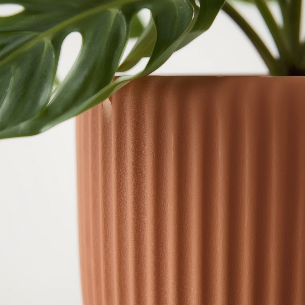Terracotta Ribbed Planter with Saucer, 6 Inch Unglazed Clay Plant Pot with Drainage Hole