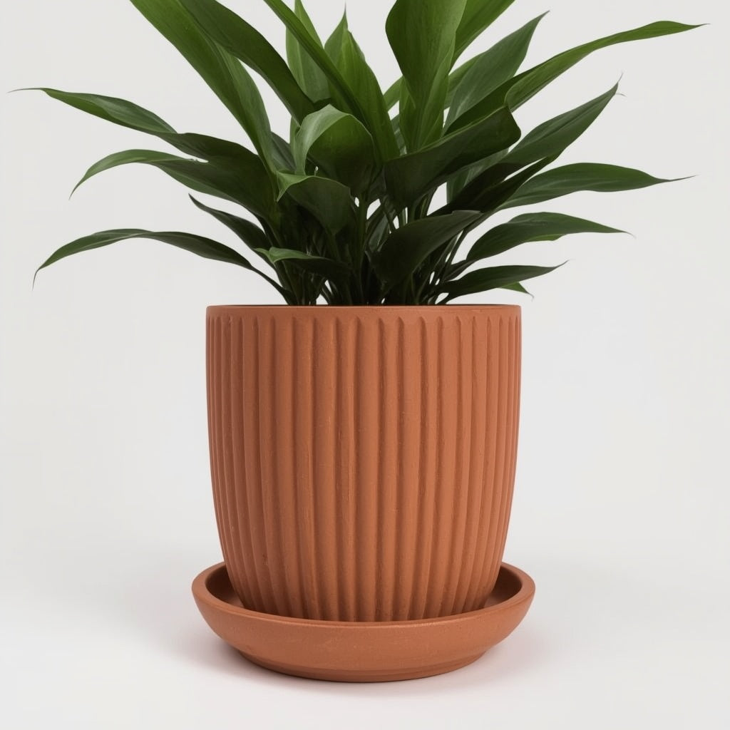 Terracotta Ribbed Planter with Saucer, 6 Inch Unglazed Clay Plant Pot with Drainage Hole
