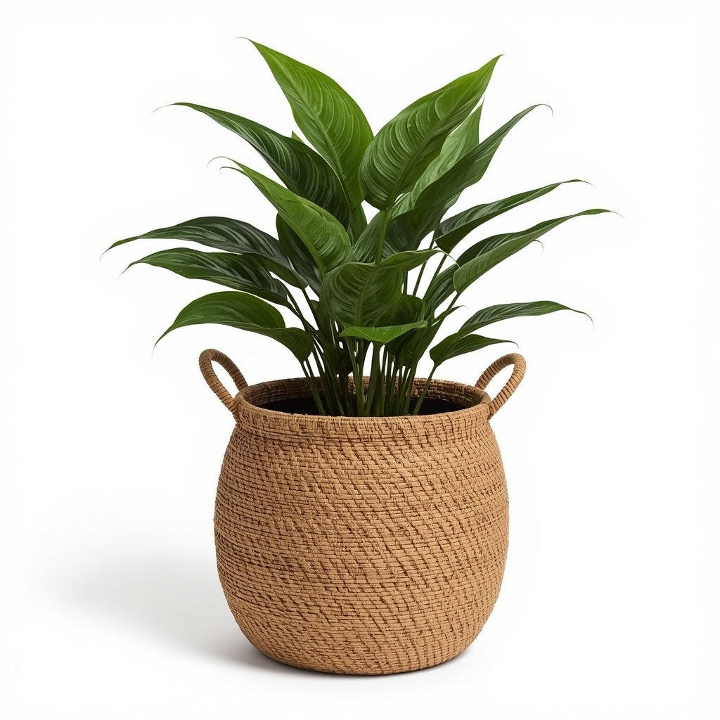 Woven Seagrass Basket Planter with Handles, 8 Inch Natural Plant Basket with Waterproof Lining